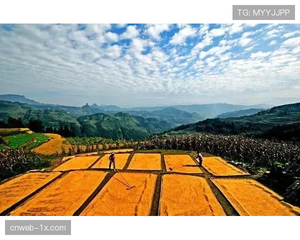数字鸿沟问题受关注,农村群体对高阶观赛服务使用率不足8% 数字鸿沟问题受关注,农村群体对高阶观赛服务使用率不足8%